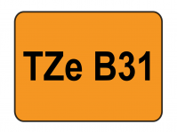 TZe B31